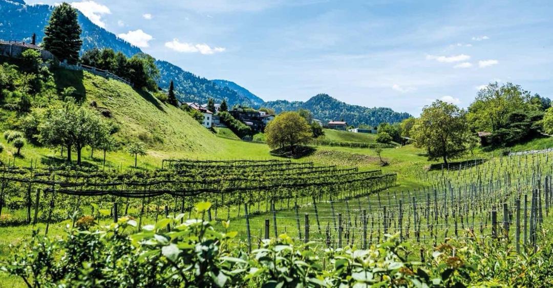 Ferienwohnung Graubünden Bonaduz Exterior foto